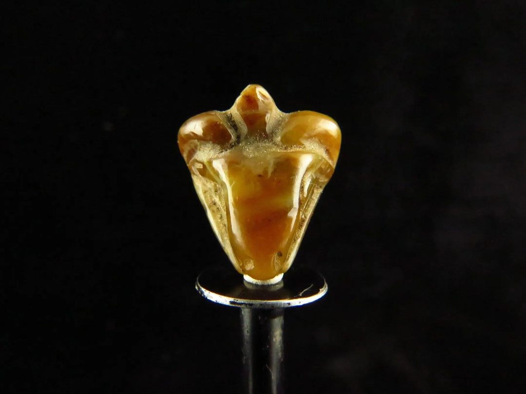 Ancient Egyptian Crystal Khnum Amulet - New Kingdom | Divine Ram's Head Symbol